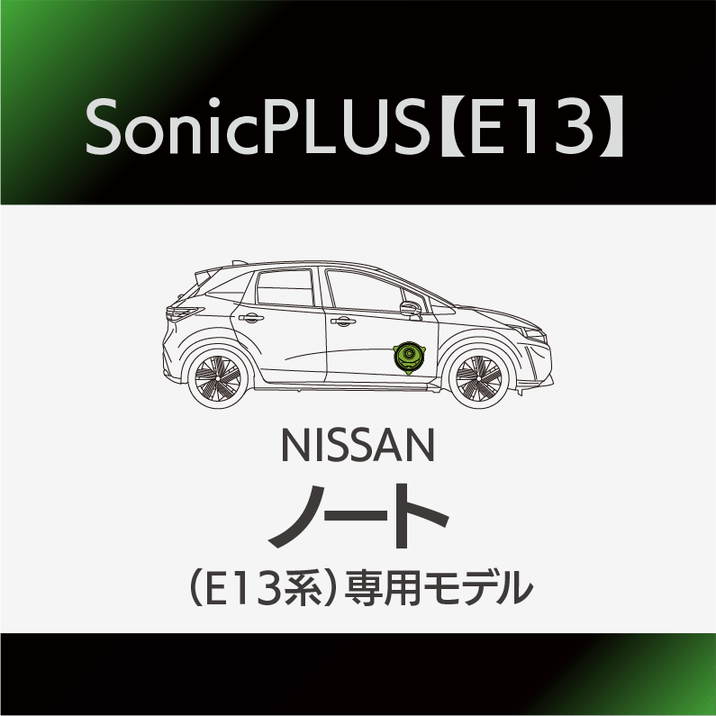 e13